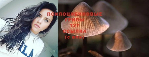 амф Белоозёрский