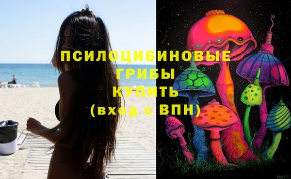 марки nbome Белокуриха